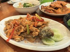 -Cabe Ijo