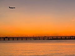 -宝安西湾红树林湿地公园