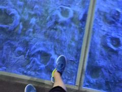 -绵阳科技馆