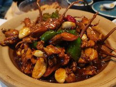 田鸡鸭舌煲-王家大院·南京菜(湛江路总店)