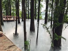 -东湖落雁景区