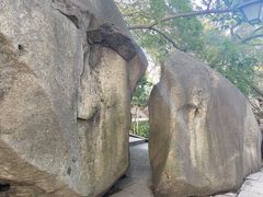 -乌山风景区
