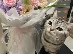 -拾花记花艺·求婚·订婚·生日布置(高新店)
