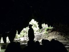 -怀托摩萤火虫洞