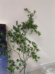 -YCai简薇美甲美睫美妆