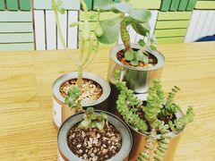 -Green Option(官舍店)
