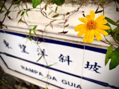 -东望洋炮台东望洋灯塔