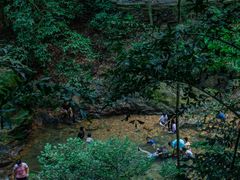 -鼎湖山风景区
