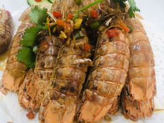 濑尿虾-蚝专家(北滘店)