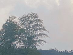 -呼吸森林·生态农庄农家乐私房菜