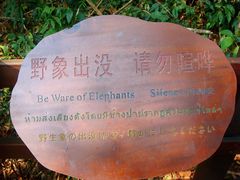 -野象谷景区