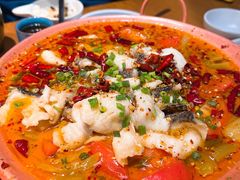 -云海肴·汽锅鸡·云南菜(天山百盛优客店)