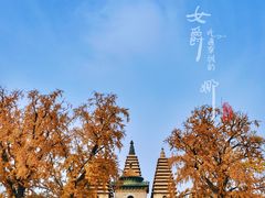 景点-北京石刻艺术博物馆(五塔寺)