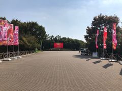 -上海海湾国家森林公园