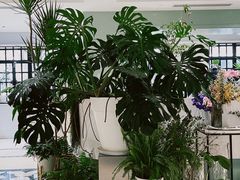 -一尺花园(安和花园店)