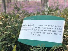 -白塘生态植物园