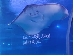 -正佳极地海洋世界