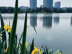 -美兰湖景区
