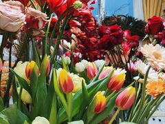 -BoBloom花店(晶耀前滩店)