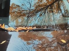 -北京国子监胡同