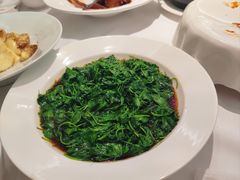 -圆苑(静安寺店)