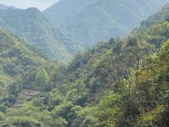 -东白山
