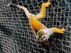 -北京野生动物园