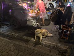 -巴公房子