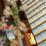 武汉！过生日来这家也太有仪式感啦！