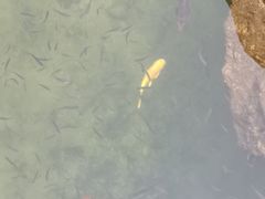 -九龙池景区