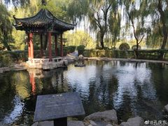 -百脉泉景区