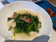 清汤竹笙煮西洋菜-拾久(朝阳公园店)