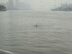 -白天鹅宾馆·流浮阁咖啡厅