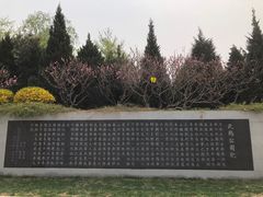 -北坞公园