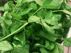 -丫丫汤膳打边炉(宏府408坊店)