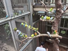 -正佳雨林生态植物园