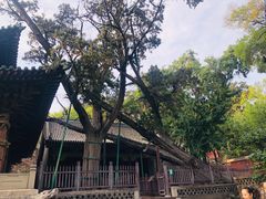 -晋祠公园