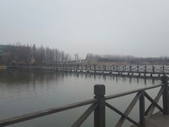 -溱湖国家湿地公园