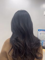 -YESIDO椰岛造型