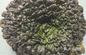 Tower Vegetable