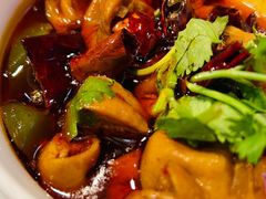 肥肠-金鼎轩(亚运村店)