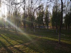 -大兴滨河森林公园