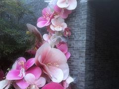 -水绘园