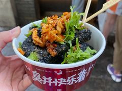 -黑色经典臭豆腐·湖南特产(坡子街店)