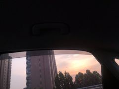 -农夫大盘鸡(经八路总店)