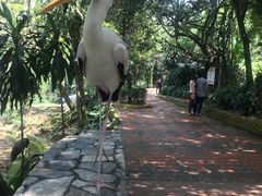 -吉隆坡雀鸟公园
