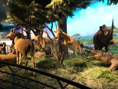 -国家自然博物馆