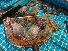 -良师门滨海人家·海鲜·家常菜(滨海城店)