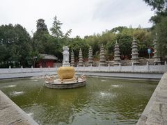 -泰山风景名胜区-普照寺