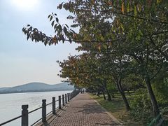 -无锡蠡湖国家湿地公园-蠡园